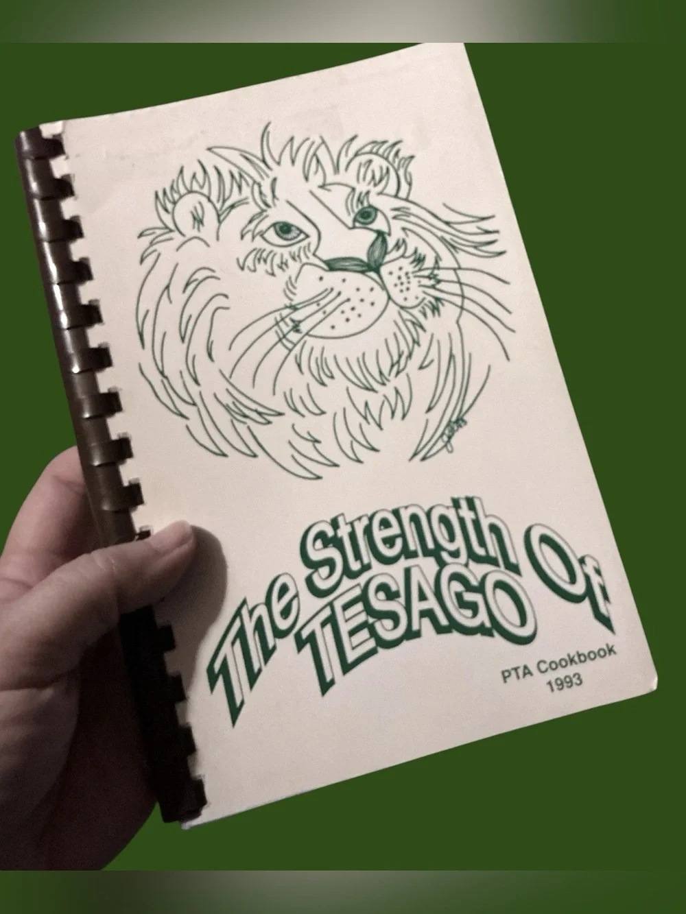 Vintage 1993 The Strength Of TESAGO PTA Cookbook Clifton Park, NY
